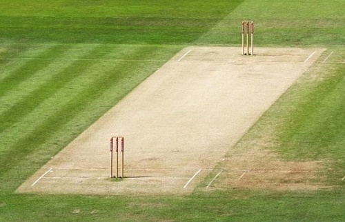 Cricket-pitch